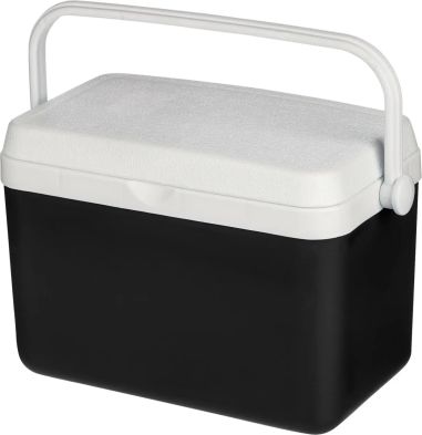 Nevera portátil 4l Personalizada | Goodie