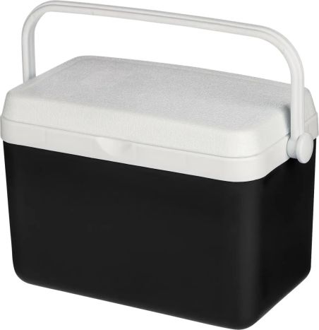Nevera portátil 4l Personalizada | Goodie