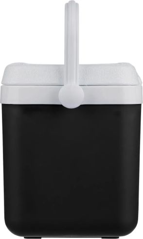 Nevera portátil 4l Personalizada | Goodie