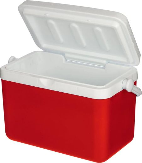Nevera portátil 4l Personalizada | Goodie