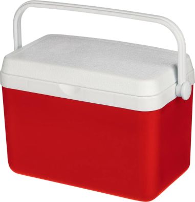 Nevera portátil 4l Personalizada | Goodie