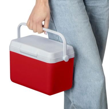 Nevera portátil 4l Personalizada | Goodie