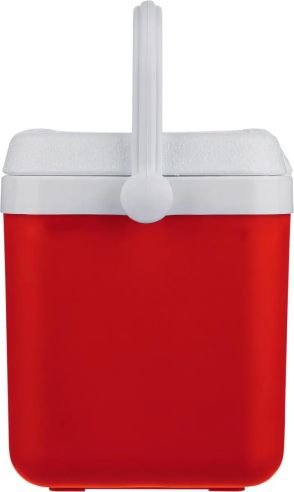 Nevera portátil 4l Personalizada | Goodie