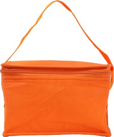 Bolsa Nevera de Nonwoven para 6 Latas | Goodie