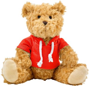 Oso de Peluche con Sudadera Personalizado | Goodie