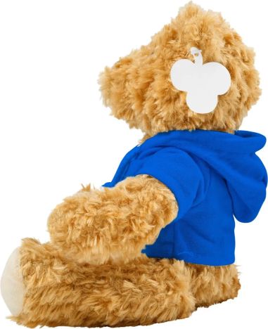 Oso de Peluche con Sudadera Personalizado | Goodie