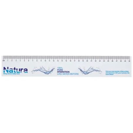 Notas Adhesivas con Regla 30cm Sticky-Mate | Goodie