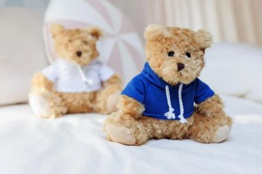 Oso de Peluche con Sudadera Personalizado | Goodie