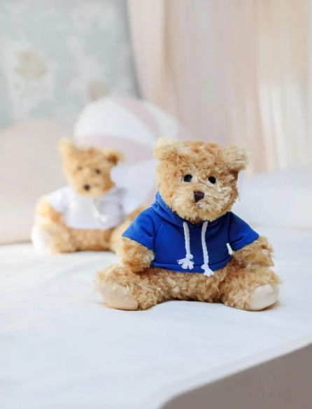 Oso de Peluche con Sudadera Personalizado | Goodie