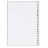 Libreta A4 con Cubierta Sintética Desk-Mate® Personalizada 621270 - Imagen 18