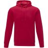 Sudadera con capucha unisex de 240 g/m² Personalizada 638233 - Imagen 38