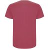 Camiseta de manga corta para hombre de 190 g/m² Personalizada 6R6681 - Imagen 130