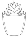 Regalos ecológicos personalizados