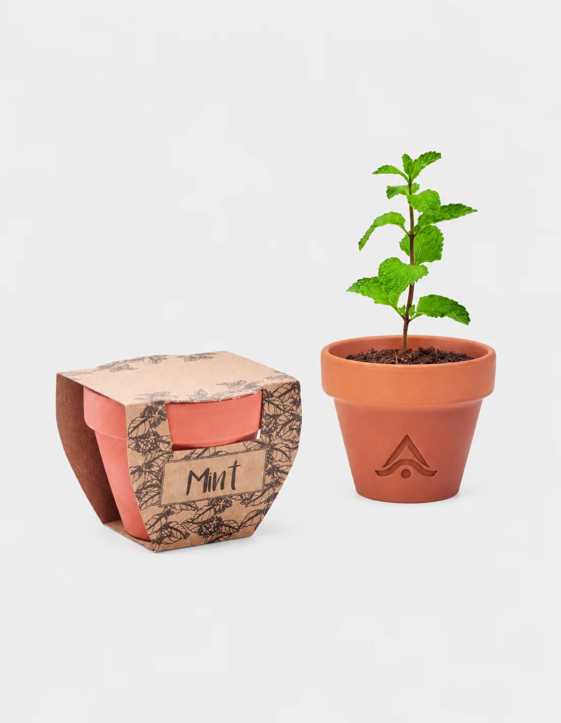 Maceta de terracota personalizada con kit de cultivo de menta y logo grabado a laser