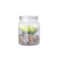 Decoración y plantas