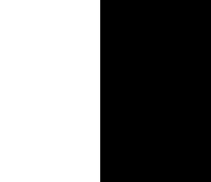 BLANCO/NEGRO
