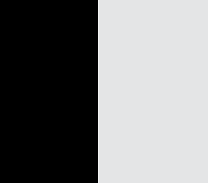 NEGRO/PLATA