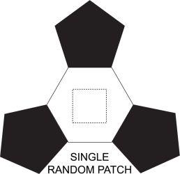 SINGLE RANDOM PATCH