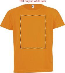 Frontal