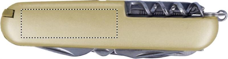 Frontal