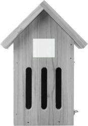 Frontal parte superior