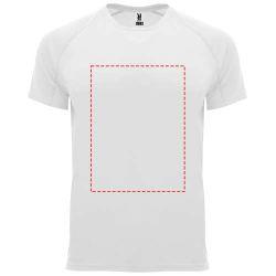 impacto - frontal completo