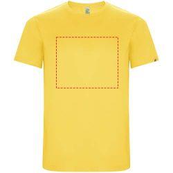 impacto - frontal completo