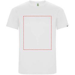 impacto - frontal completo