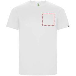 parte izquierda del pecho