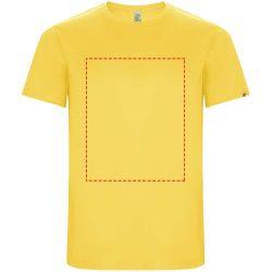 impacto - frontal completo