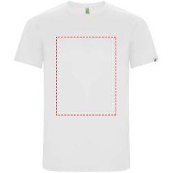 impacto - frontal completo