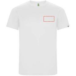 parte izquierda del pecho