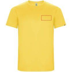 parte izquierda del pecho