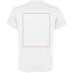 impacto - espalda arriba