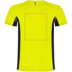 impacto - frontal completo