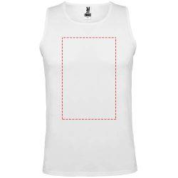 impacto - frontal completo