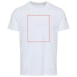 impacto - frontal completo