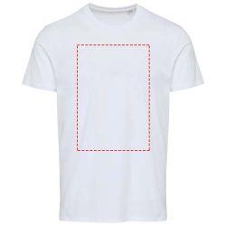 impacto - frontal completo