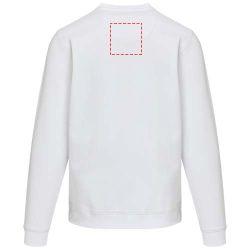 impacto - espalda arriba