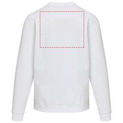 impacto - espalda arriba