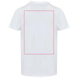 impacto - espalda arriba